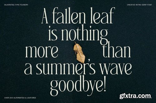 CreativeMarket - SLTF Rogue Rebellion - Ligature Font