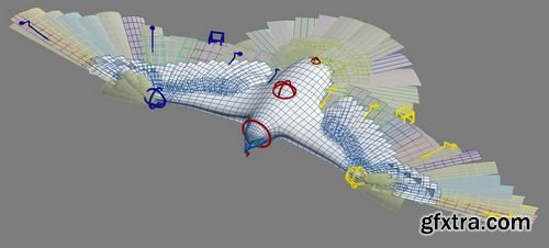 TurboSquid - Peregrine Falcon