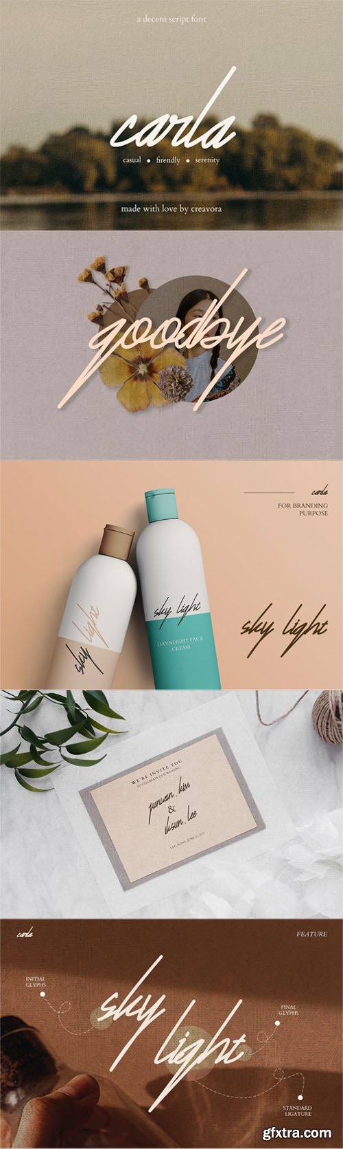 Carla - Signature Script Font