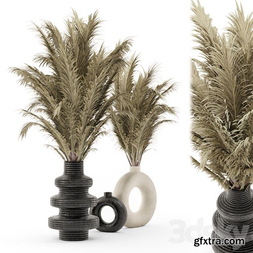 3dsky Pro - Collection Dry Bouquet Plants Pots - Set 1876