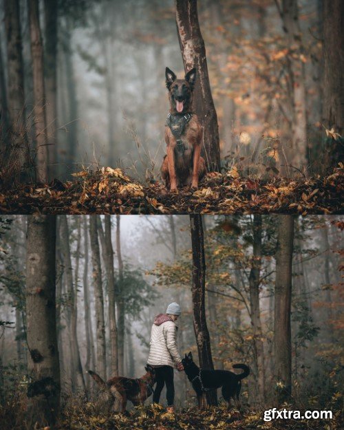 Christian Mate Grab - MOOD | 10 Lightroom Presets