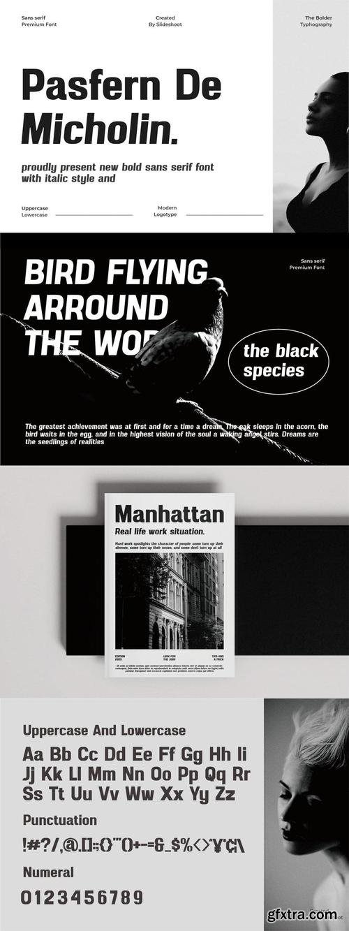 Pasfern De Micholin || Sans Serif Font With Italic