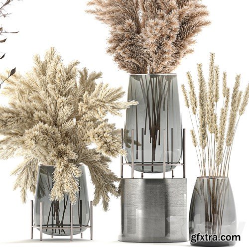 3dsky Pro - A collection of bouquets of dried flowers in glass vases with Pampas, branches, Cortaderia, pampas grass, reeds. Set 103.