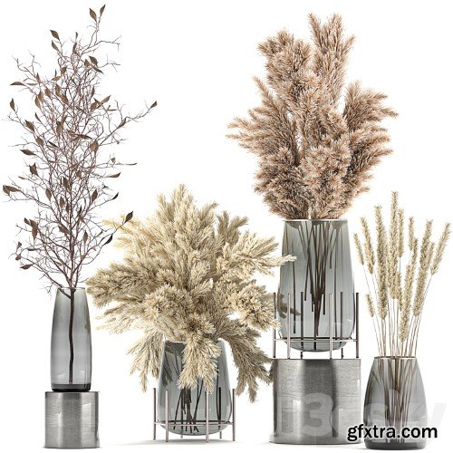 3dsky Pro - A collection of bouquets of dried flowers in glass vases with Pampas, branches, Cortaderia, pampas grass, reeds. Set 103.