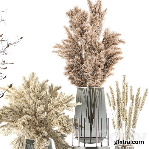 3dsky Pro - A collection of bouquets of dried flowers in glass vases with Pampas, branches, Cortaderia, pampas grass, reeds. Set 103.