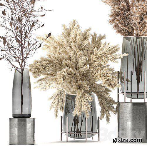 3dsky Pro - A collection of bouquets of dried flowers in glass vases with Pampas, branches, Cortaderia, pampas grass, reeds. Set 103.