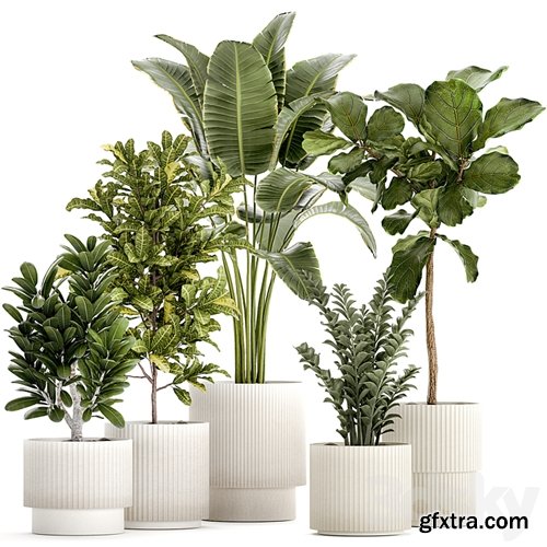 3dsky Pro - Plant collection 1407