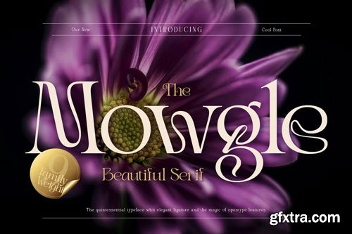 CreativeMarket - Mowgle Font