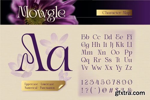 CreativeMarket - Mowgle Font