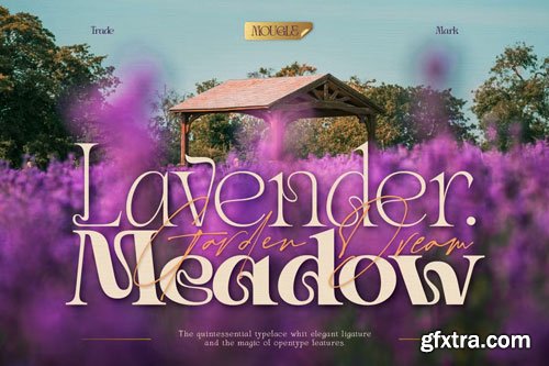 CreativeMarket - Mowgle Font