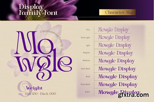 CreativeMarket - Mowgle Font