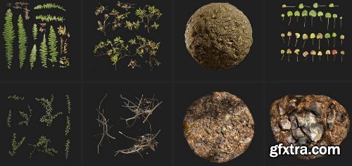 Quixel - Mountain Slope 3D Asset Collection