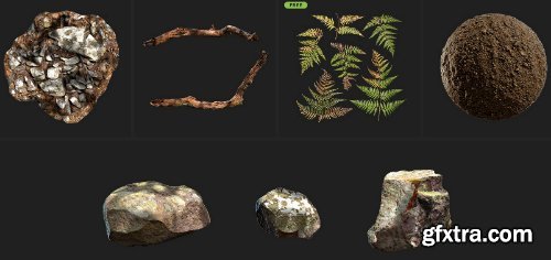 Quixel - Mountain Slope 3D Asset Collection