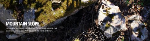 Quixel - Mountain Slope 3D Asset Collection