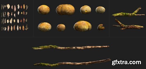 Quixel - Mountain Slope 3D Asset Collection