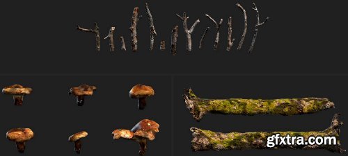 Quixel - Mountain Slope 3D Asset Collection