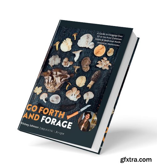 Go Forth and Forage: A Guide to Foraging Over 50 of the Most Common Edible & Medicinal North American Mushrooms