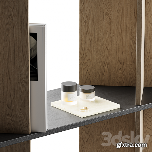 3dsky Pro - Shelving with decor