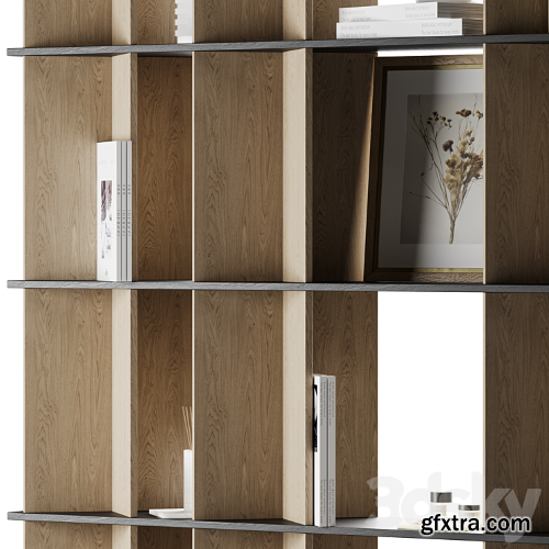 3dsky Pro - Shelving with decor