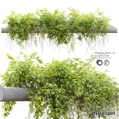 3dsky Pro - Hanging Plant 21