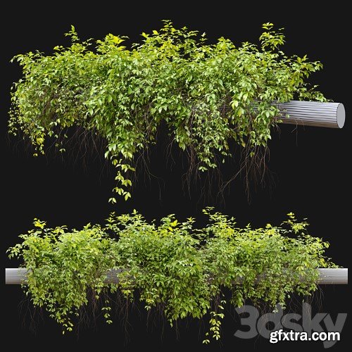 3dsky Pro - Hanging Plant 21
