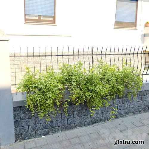 3dsky Pro - Hanging Plant 21