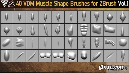 Artstation - 40 VDM Muscle Shape Brushes for ZBrush Vol 01