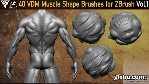 Artstation - 40 VDM Muscle Shape Brushes for ZBrush Vol 01