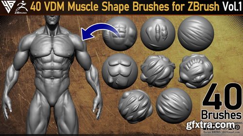 Artstation - 40 VDM Muscle Shape Brushes for ZBrush Vol 01