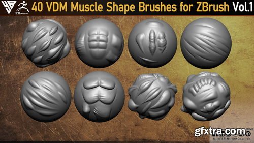 Artstation - 40 VDM Muscle Shape Brushes for ZBrush Vol 01