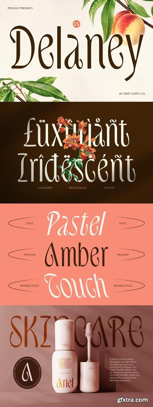 Delaney - Modern Font