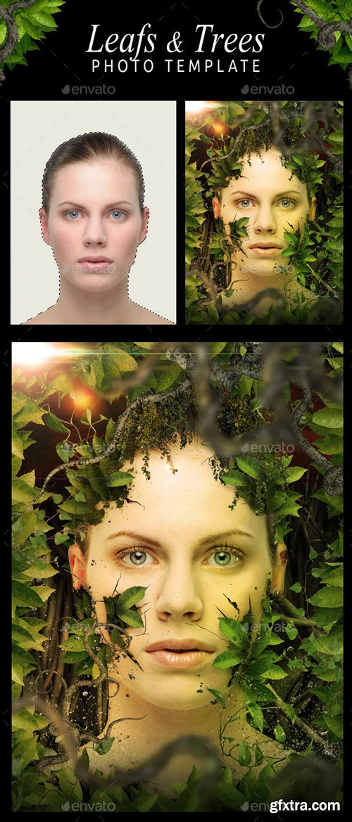 Leafs &amp; Trees Photo Template PSD 11034985
