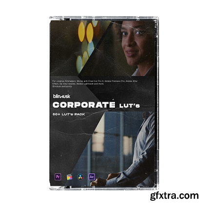 Blindusk - Corporate LUTs