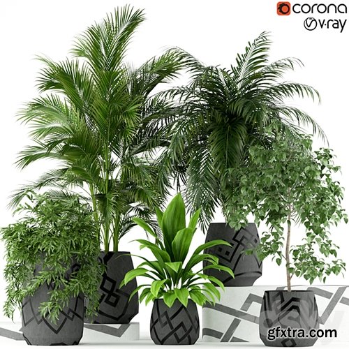 3dsky Pro - Plants collection 195