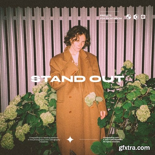 Cinegrading - Disposable Camera Presets