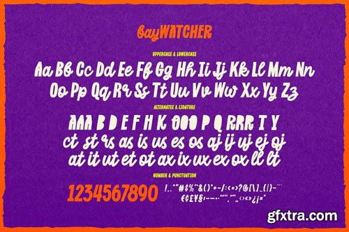 CreativeMarket - Bay Watcher - Summer Holiday Font