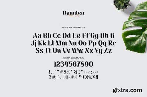 CreativeMarket - Dauntea - Modern Serif Typeface