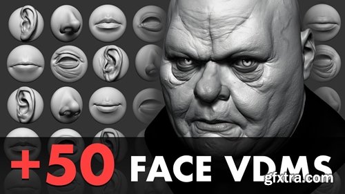 FlippedNormals - Face VDMs