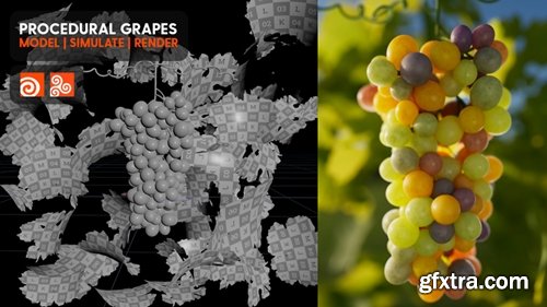 Cgside - Procedural Grapes - Patreon Exclusive