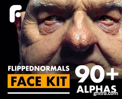 FlippedNormals - Face Kit