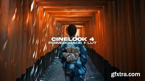 Nomadic George - CineLook 4 DaVinci Resolve PowerGrade + LUT (2023)