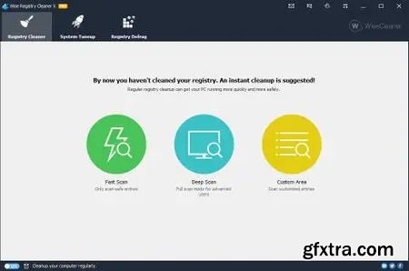 Wise Registry Cleaner Pro 11.2.4.729 