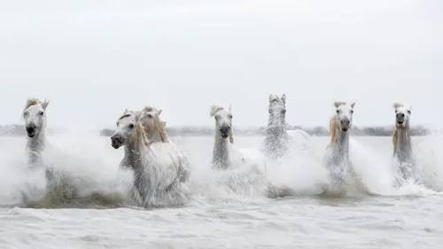 'CreativeLive - Mastering Your Digital Camera' 'CreativeLive - Mastering Your Digital Camera'