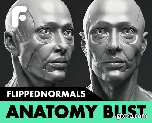 FlippedNormals - Anatomy Bust
