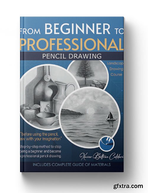 From Beginner to Professional: Step-by-step method to stop being a beginner and become a professional pencil drawing