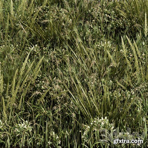 3dsky Pro - Wild Grass Green - Grass Set 03