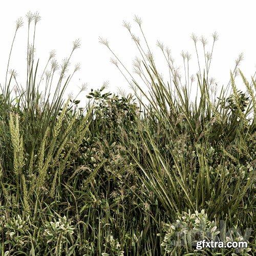 3dsky Pro - Wild Grass Green - Grass Set 03