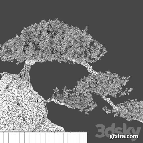 3dsky Pro - Bonsai plant_04