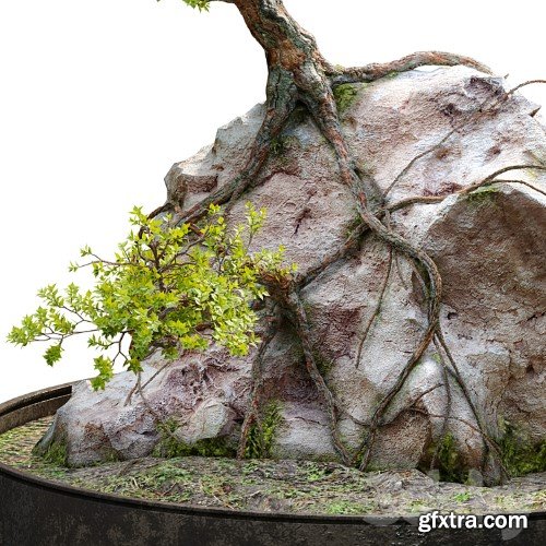 3dsky Pro - Bonsai plant_04