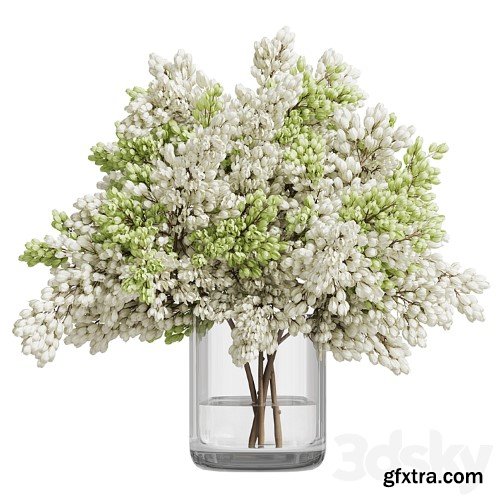 3dsky Pro - Bouquet 022